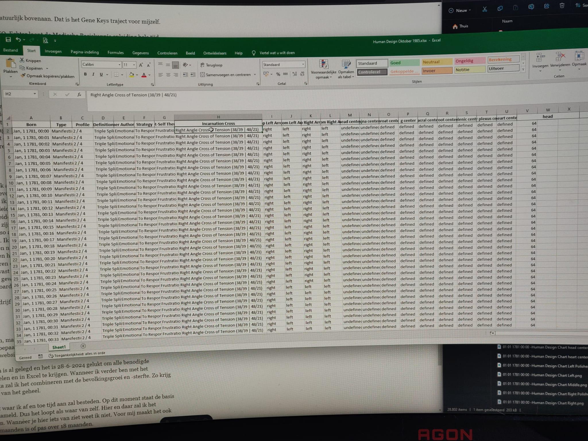 Data in Excel van Human Design